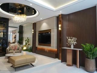 Bán nhà phố đường d7 phường tân mỹ q7 5x18m full nội thất cao cấp giá 18.9 tỷ