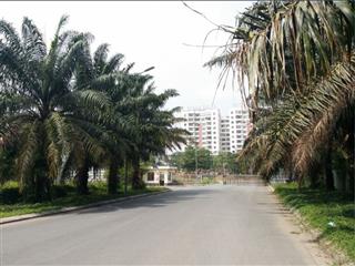 Bán gấp đất nền dự án 100m2, 4,2 tỷ tại kdc làng việt kiều phong phú, bình chánh, hcm