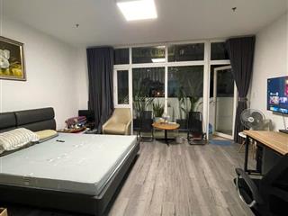 Cần cho thuê studio full nội thất q7  9.5tr
