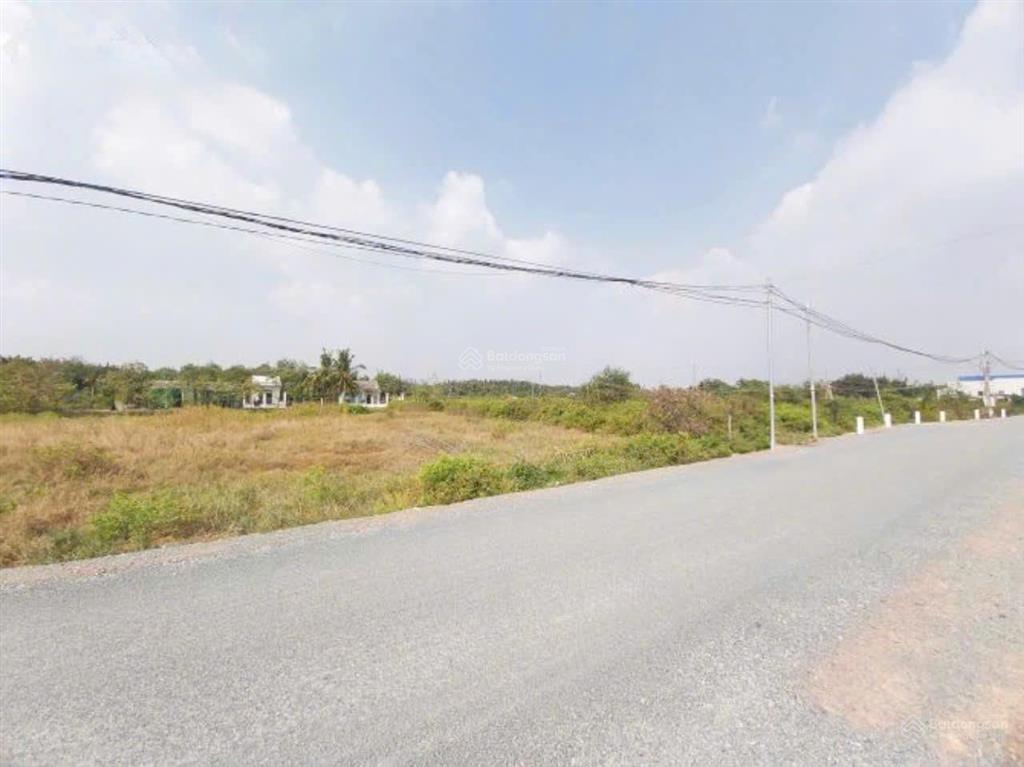 Bán 4254m2 đất mặt tiền tân thanh rạch găng, cần giuộc, long an, dt94 x 37m, , 13.5tỷ