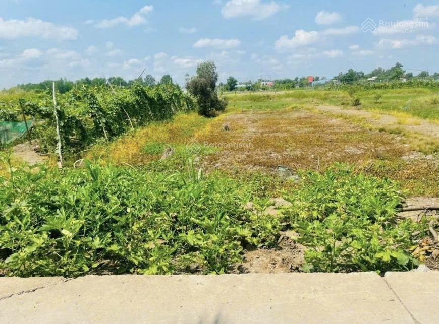 Bán 1067,5m2 đất đường t11, tân qúy tây, bình chánh, hồ chí minh, dt 29,56 x 39,24m, 4.5 tỷ