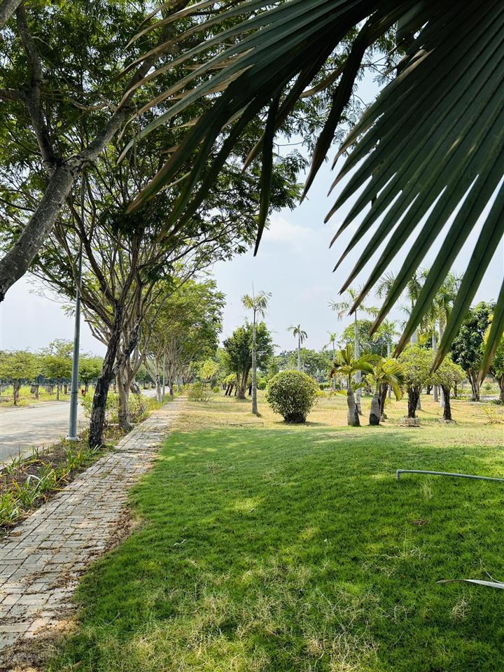 11,5 tỷ dt 140m2, lô đất shophouse mặt tiền 3 trường đại học nhơn đức vạn phát hưng.  0906 459 ***