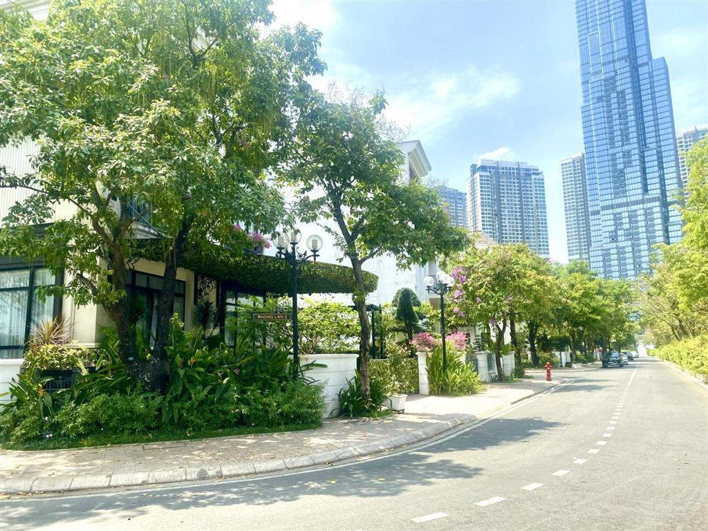 Biệt thự góc vinhomes central park đẹp full nội thất cần bán