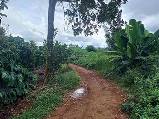 Bán đất vườn ven hồ thủy điện đắk tik tp. gia nghĩa, đắk nông