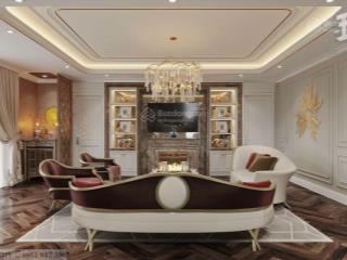 Cho thuê penthoues the panorama, tôn dật tiên, tân phong, q7, 130 triệu, 300m2 cực kỳ đẳng cấp.