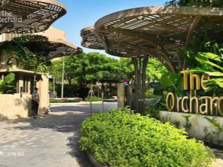 Tổng hợp chuyển nhượng biệt thự the orchard tại sycamore nhiều vị trí đẹp | nguyên lộc