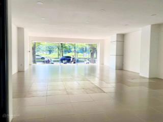Gấp. chủ gửi bán gấp trong tháng shophouse phú mỹ hưng, dt 185m2, mặt tiền nguyễn văn linh, 19 tỷ