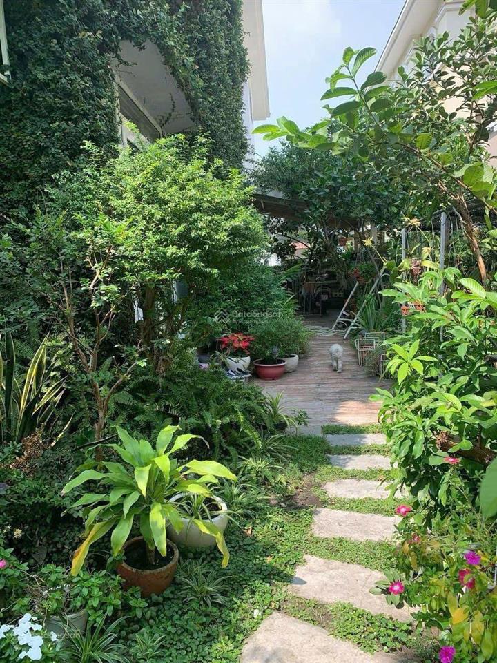 Kẹt tiền bán nhanh biệt thự song lập mỹ gia 11 x 20m2, ngay cạnh công viên nam viên, giá 62 tỷ