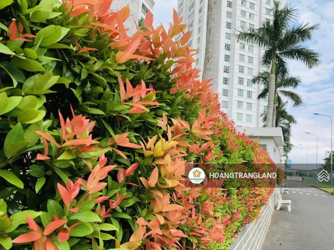 Bán nhanh c.h 2pn hoàng anh thanh bình q7 hcm nhà cơ bản giá cực tốt ạ .  trang hatb 0905 521 ***.