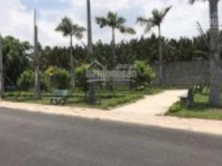 35tr/m2 đất đại phú mặt tiền trần đại nghĩa, bình chánh có sổ đỏ, nhiều nền giá mềm. 0937 934 ***