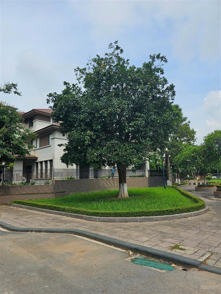 Cần cho thuê gấp biệt thự mặt hồ an hưng  dương nội để kinh doanh hoặc trường mầm non