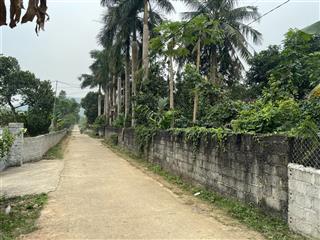 Chính chủ bán 6548m2 đất trang trại khu nghỉ dưỡng, tại xã phú nghĩa, lạc thuỷ, hoà bình