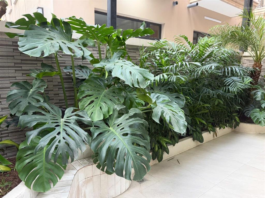 Siêu phẩm liền kề xẻ khe 96m2  song lập mini hiếm có  phân khu đảo dừa  vinhomes ocean park 2