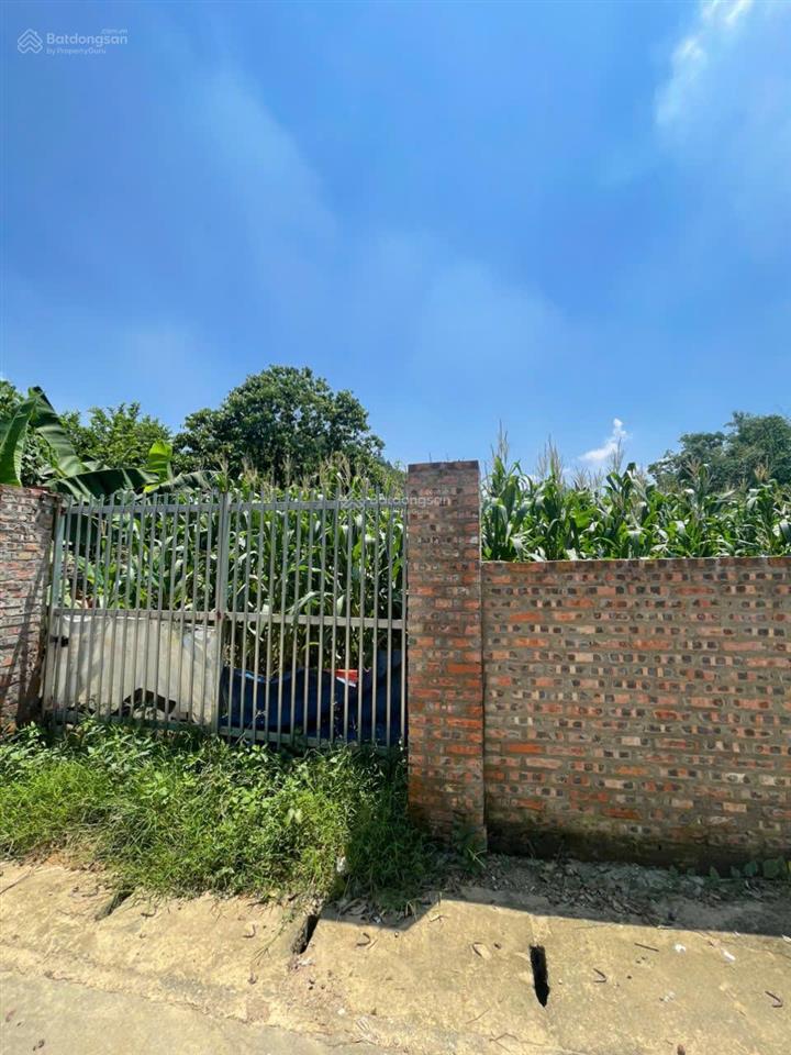 Chính chủ cần bán lô đất xóm nhàn, tiến xuân, thạch thất, dt 1600m2, cạnh kđt xanh villa, sổ đỏ sẵn