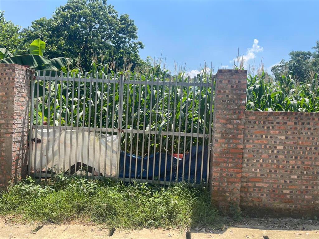 Chính chủ cần bán lô đất xóm nhàn, tiến xuân, thạch thất, dt 1600m2, cạnh kđt xanh villa, sổ đỏ sẵn