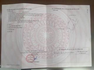 Chính chủ cần bán 240m2 ngang 20m tại quyết tiến, tiên lãng, hải phòng giá chỉ 12tr/m2