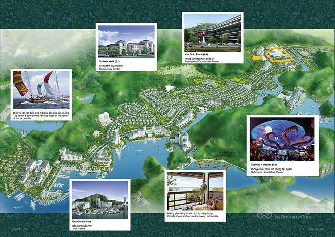 Bán biệt thự mik groups tt cát bà cạnh dự án sun groups  bđs lãi vốn và dòng tiền