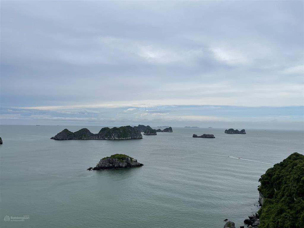 Chính chủ bán biệt thự song lập dự an mik trung tâm thị trấn cát bà