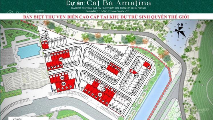 Chính chủ bán biệt thự song lập dự an mik trung tâm thị trấn cát bà