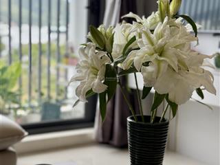 Bán cc 85m2 tại võ văn kiệt, phước long, nha trang, giá cực chất 4,88 tỷ