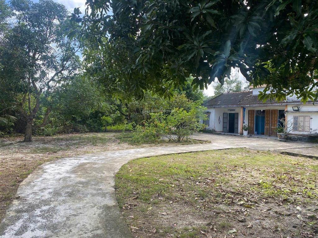 Chính chủ bán lô đất ở mặt tiền 8m x 28m. giá thỏa thuận  0967 486 ***