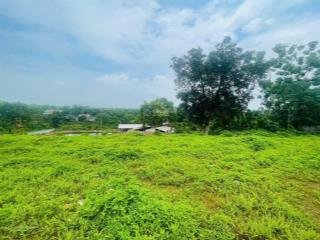 Bán lô đât diện tích 1700m thổ cư 400m đất ở lâu dài, còn lại là đất trồng cây lâu năm.
