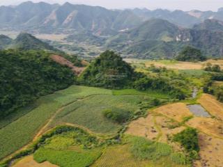 Bán lô đất view cực đẹp bám suối, view cánh đồng tại kim bôi, hòa bình