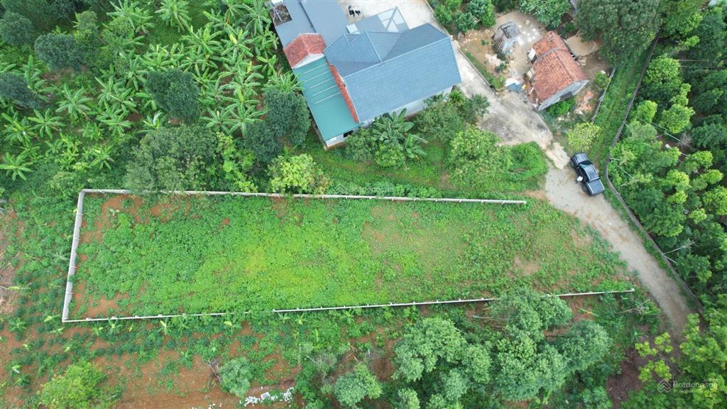 Bán lô đất đồi cực đẹp view đỉnh cao tại yên bài, ba vì