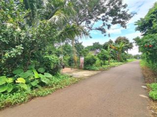 Bán rẻ vườn trái cây 1336m2, có 100m2 thổ cư. mặt tiền đường nhựa tại sông ray, cẩm mỹ, đồng nai