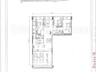 Bán cc skylinked 3pn tại celadon city, 14.2tỷ, all in, dt 217m2, 3pn, số lượng có 1, hàng hiếm!