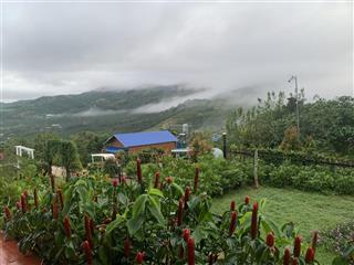 Booking đợt 1  giá f0  đất ôm suối  view rừng thông nguyên sinh  cách cao tốc chỉ 8 phút