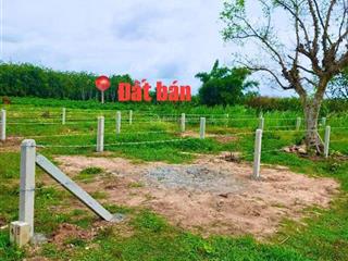 Chủ ngộp sâu từ 289tr còn 159tr dt hơn 150m2 sẵn thổ cư kdc hiện hữu cách nhựa 70m chỉ 159tr