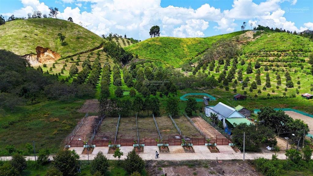 Đạ tẻh  lâm đồng dt 200m2 sẵn 100m2 thổ cư đường bê tông thông cách dt721 500m2 chỉ 2xx tr