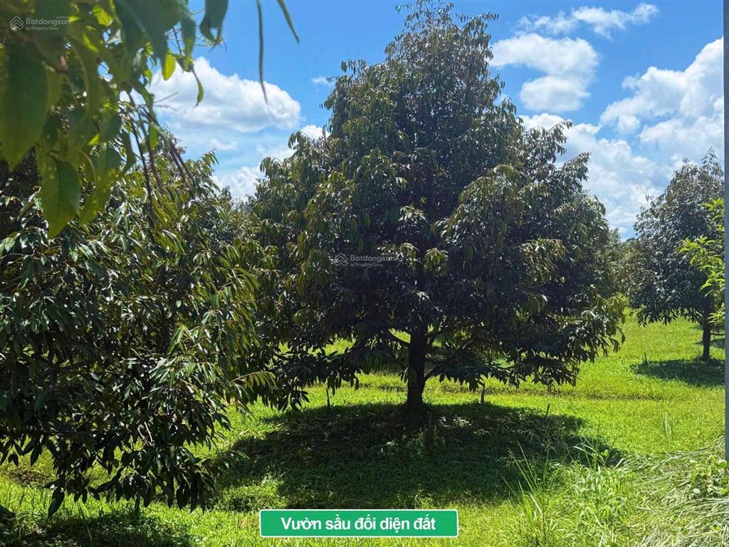 Đạ tẻh  lâm đồng dt 200m2 sẵn 100m2 thổ cư đường bê tông thông cách dt721 500m2 chỉ 2xx tr