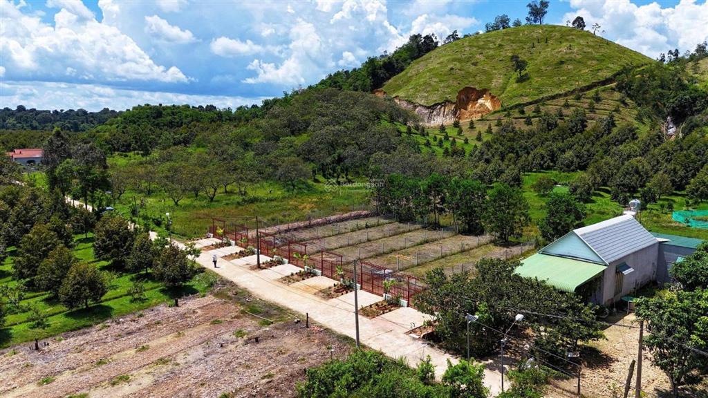 Đạ tẻh  lâm đồng dt 200m2 sẵn 100m2 thổ cư đường bê tông thông cách dt721 500m2 chỉ 2xx tr