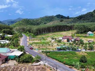 Siêu phẩm nhà vườn sầu riêng dt hơn 6 sào sẵn 400m2 thổ cư mặt tiền nhựa kdc nhỉnh 3 tỷ