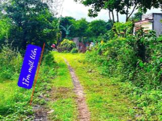 Cưkuin đắk lắk dt 881m2 sẵn 280m2 mặt tiền 17m đường đá mi oto tới đất cách nhựa chỉ 50m giá 500tr