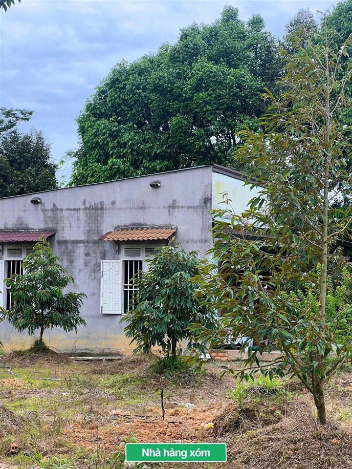 Đất đẹp đầu tư nghỉ dưỡng tại đạ tẻh lâm đồng dt 333m2 sẵn 100m2 tc mặt tiền nhựa giáp suối 4xxtr