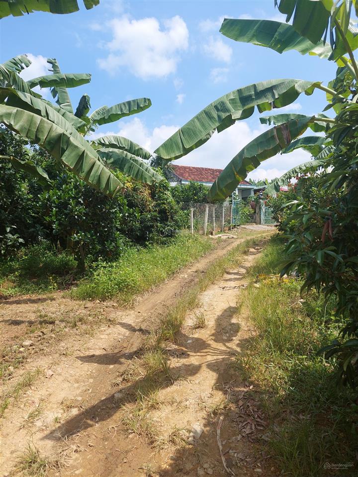 Bán trang trại nghỉ dưỡng giáp sông krông năng, tỉnh daklak