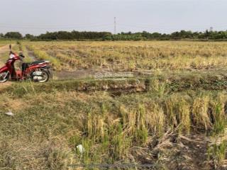 Ngộp bán rẻ lô đất chính chủ 2.000m2 thuộc tân nhựt, bình chánh giá 1,35tr/m2