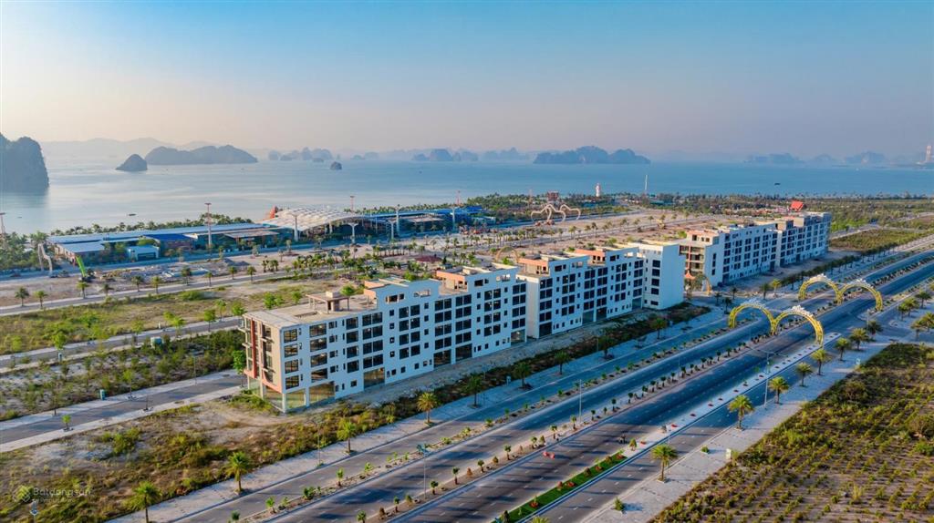 Mở bán shophouse đại lộ 58m đặc khu vân đồn, đối diện chung cư, dt 87,5m2, hướng nam, giá 7 tỷ