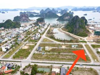 Bán đất lô góc thự mặt vịnh, view vịnh bái tử long, đường bao biển dt 236m2 đông nam, giá 42tr/m2