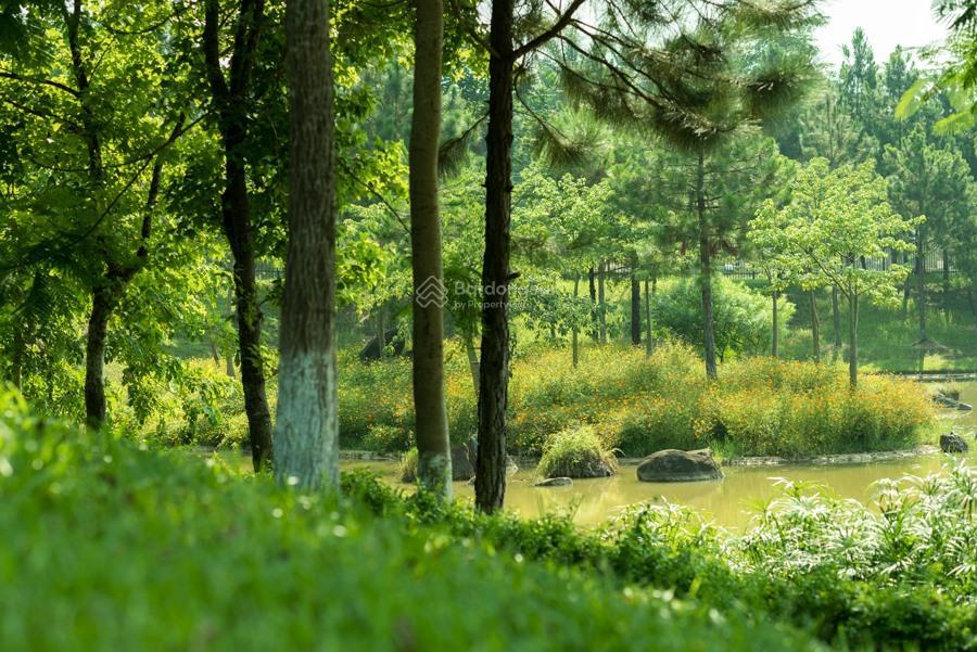 Chuyển nhượng trung tâm chăm sóc sức khoẻ người cao tuổi, pháp lý đầy đủ tại vĩnh phúc