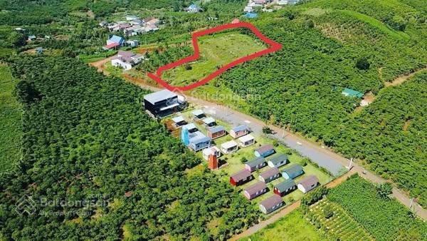 Đất dân bán 2327m2 có 200m2 thổ view cao nhìn hồ nhìn về bảo lộc thuộc p2 bảo lộc giá 3 tỷ 6