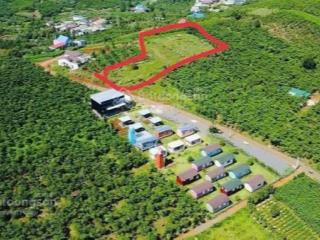 Đất dân bán 2327m2 có 200m2 thổ  view cao nhìn hồ  nhìn về bảo lộc  thuộc p2 bảo lộc giá 3 tỷ 6