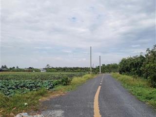 Bán đất 1500m2 đất rạch kênh mương chùa, phường tân quy đông, sa đéc, đồng tháp 0903 969 ***