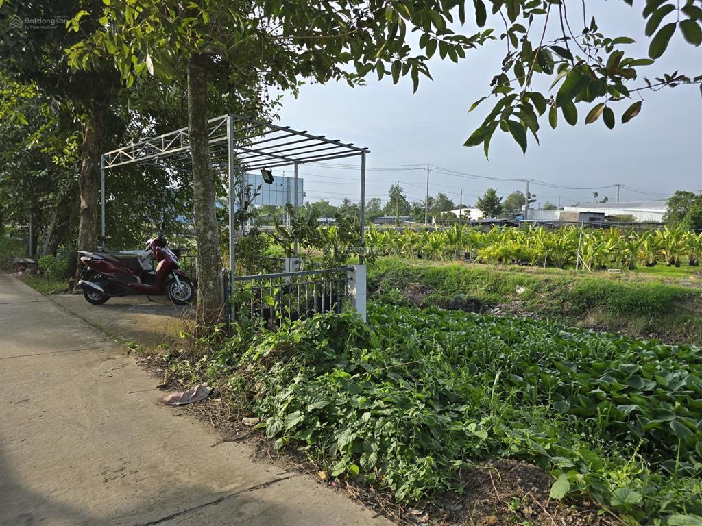 Bán nhà vào khu du lịch nhà úp ngược, xã tân khánh đông, sa đéc, đồng tháp