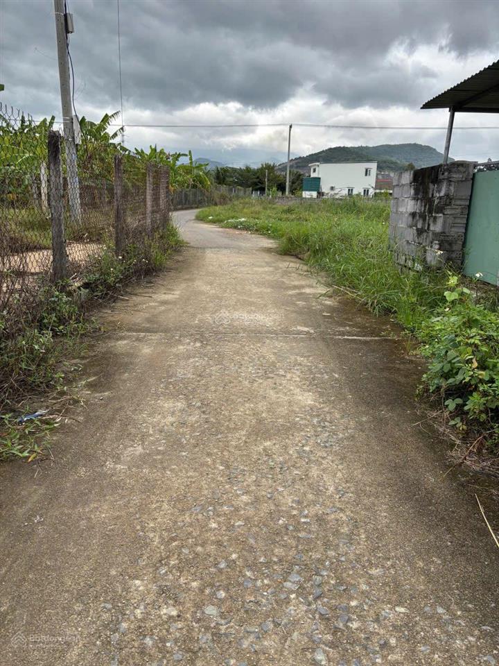 Bán đất full thổ cư 141,5m² diên lạc  đường thông 4m  giá chỉ 1,15 tỷ, chủ bao phí