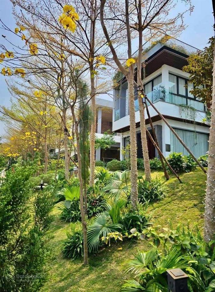 Bán đất nền đấu giá bt 250m2 trong flamingo đại lải, không phải xây. giá chỉ 34tr/m2.0988 970 ***