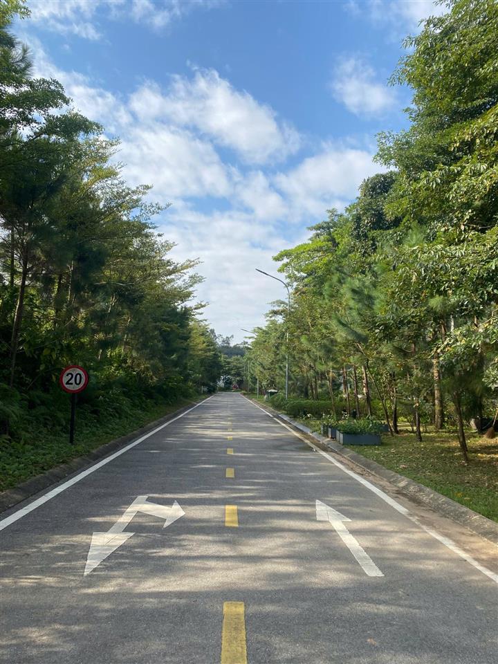 Bán đất nền đấu giá bt 250m2 trong flamingo đại lải, không phải xây. giá chỉ 34tr/m2.0988 970 ***